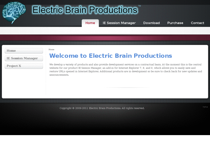 www.electricbrainproductions.com