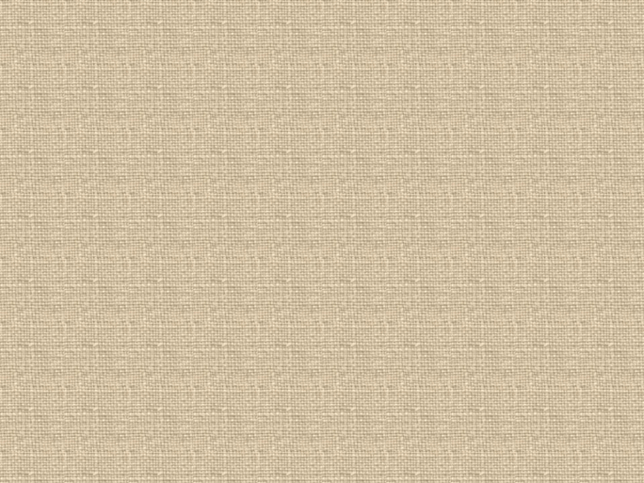 www.gtfbkk.com