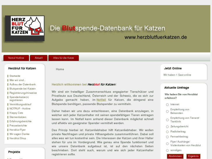 www.herzblutfuerkatzen.de