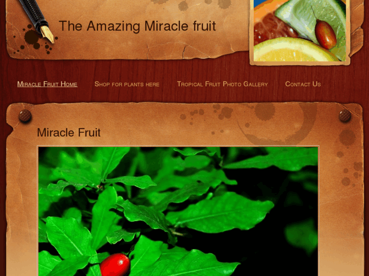 www.miraclefruit.info