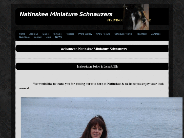 www.natinskeeminiatureschnauzers.com