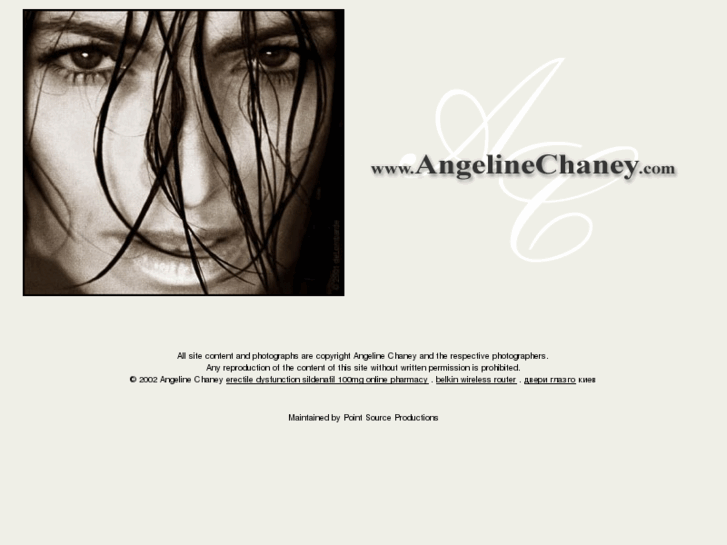 www.angelinechaney.com