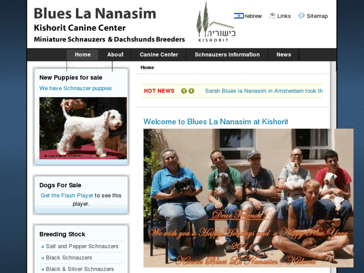 www.blues-la-nanasim.com