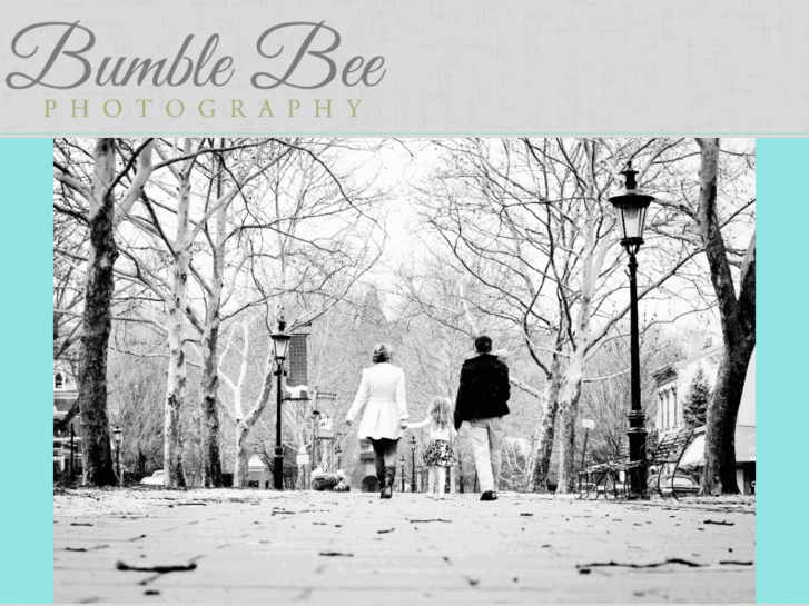 www.bumble-bee-photography.com