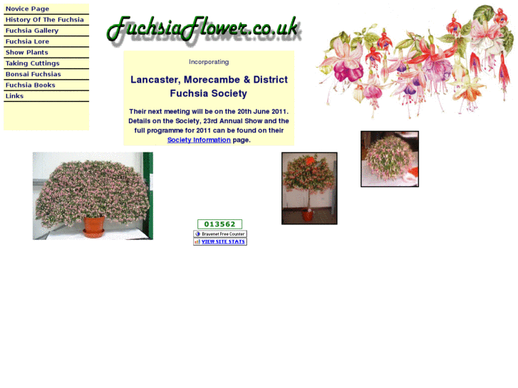 www.fuchsiaflower.co.uk