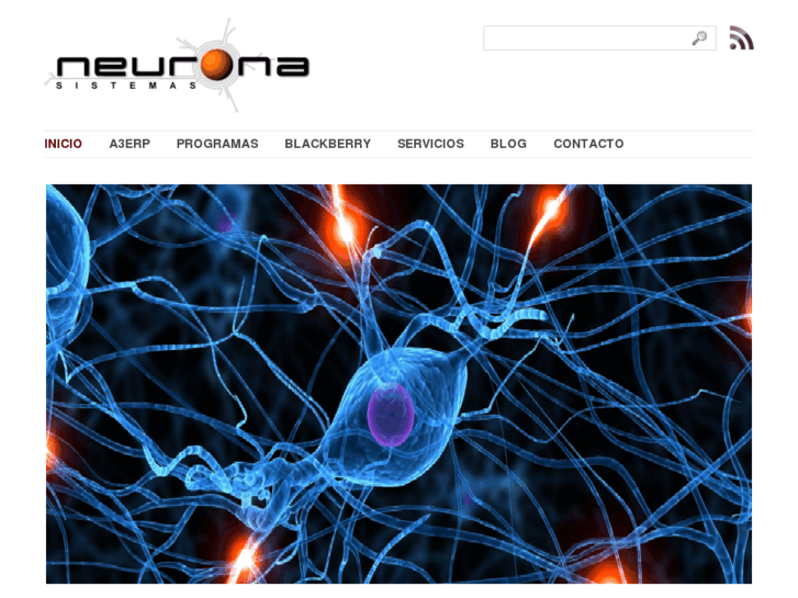 www.neuronasistemas.com