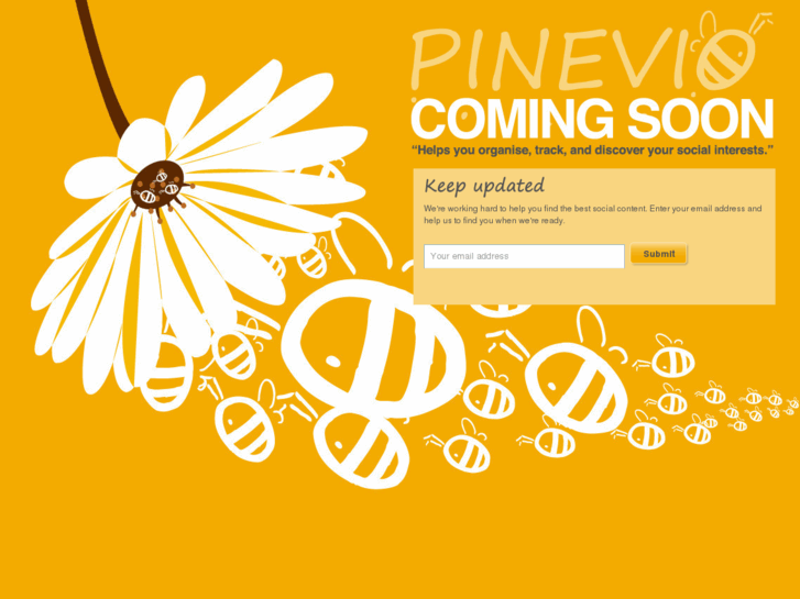www.pinevio.com