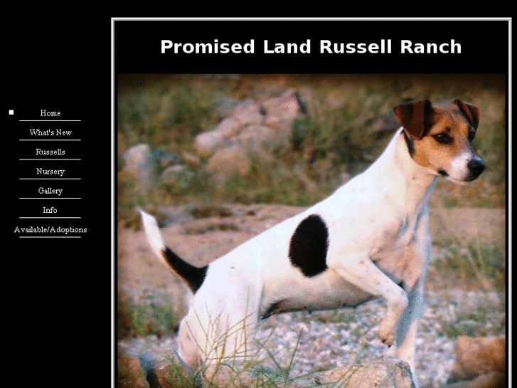 www.promisedlandrussellranch.com