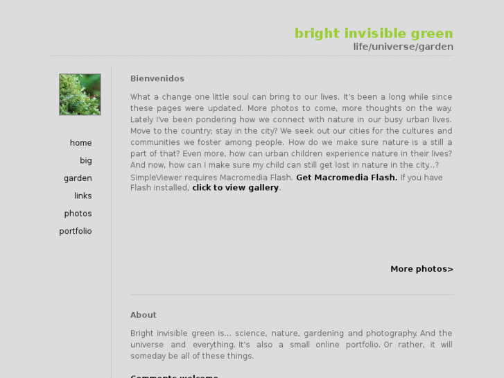 www.brightinvisiblegreen.com