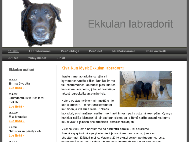 www.ekkula.com