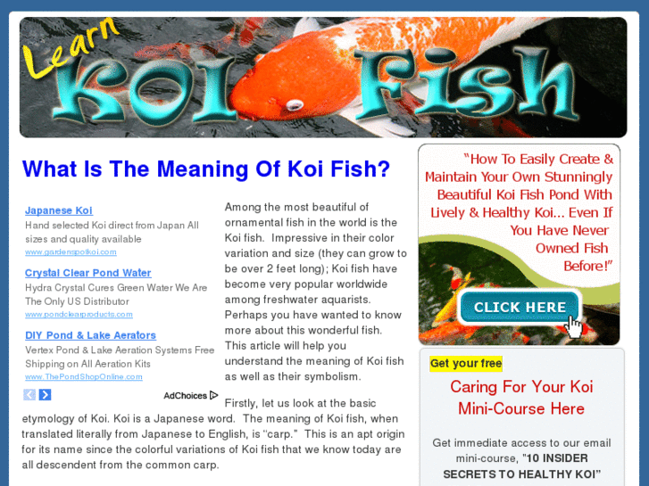 www.learnkoifish.com