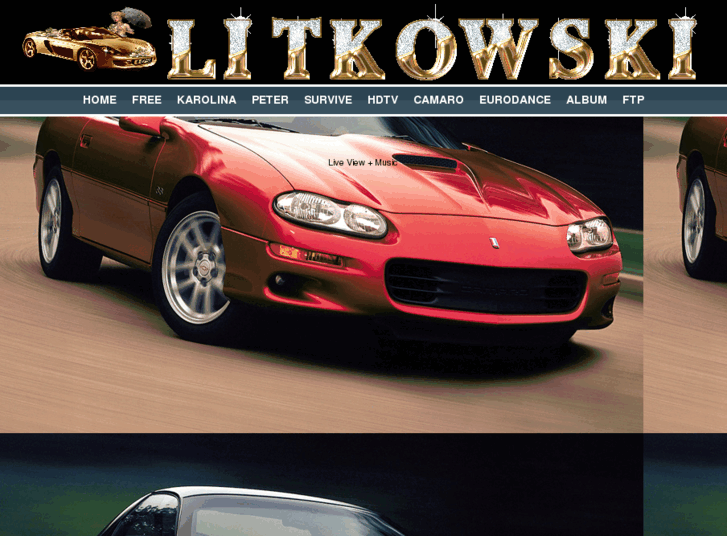 www.litkowski.com