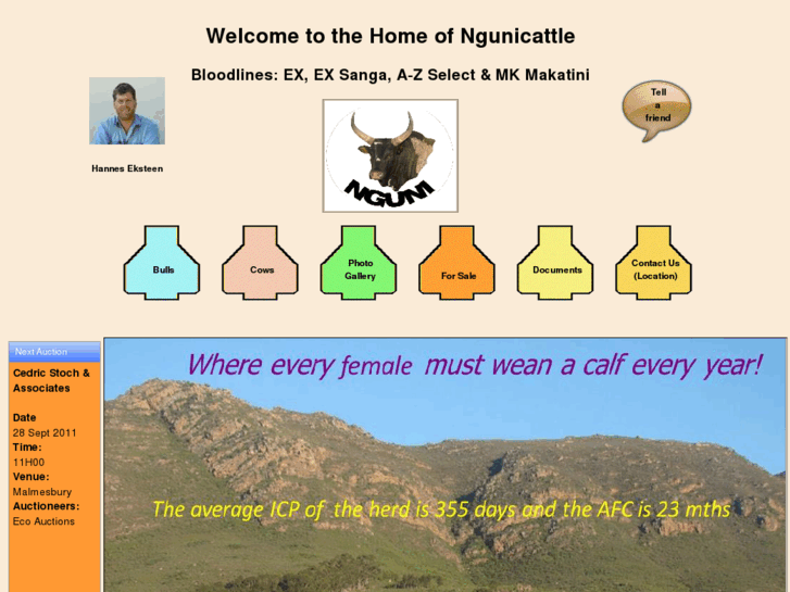 www.ngunicattle.net