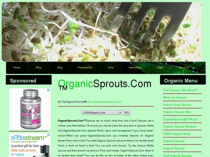 www.organicsprouts.com