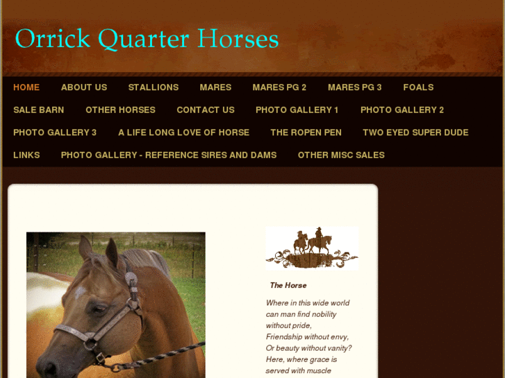 www.orrickquarterhorses.com