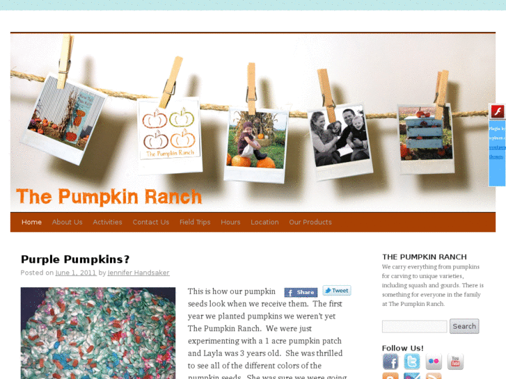 www.thepumpkinranch.net