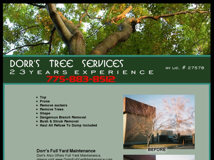 www.dorrstreeservices.com