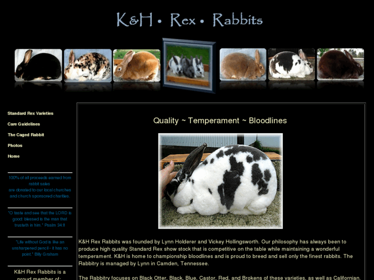 www.khrexrabbits.com