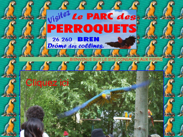 www.perroquet-spectacle.com