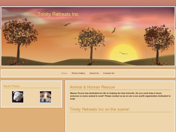 www.trinityretreatsinc.com