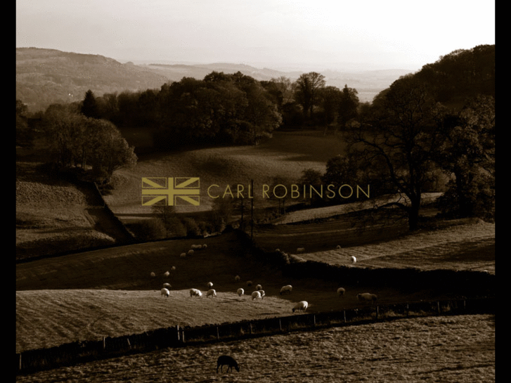 www.carlrobinson.co.uk