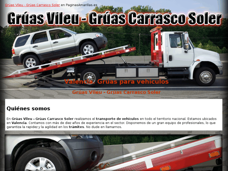 www.gruascarrascosoler.com