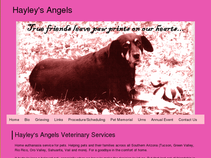 www.hayleysangels.com