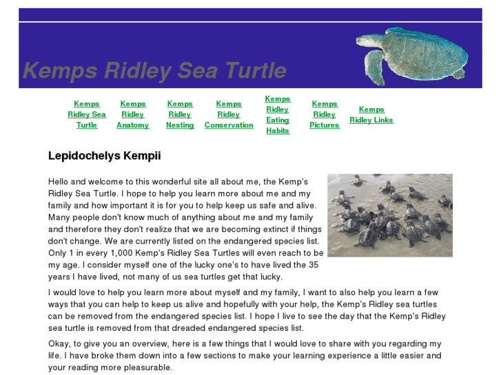 www.thekempsridleyturtle.com