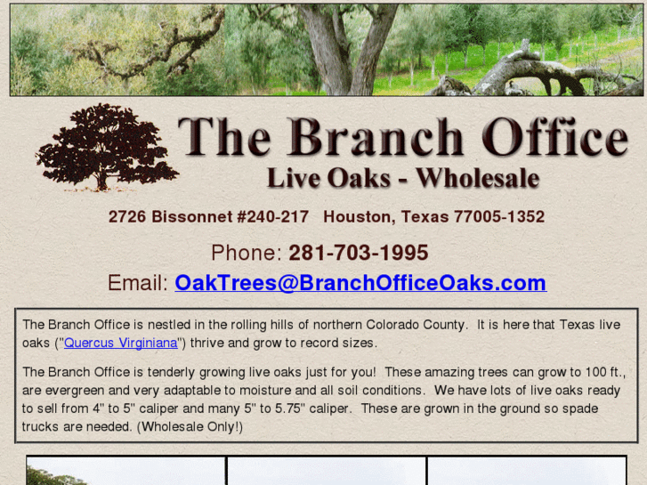 www.branchofficeoaks.com