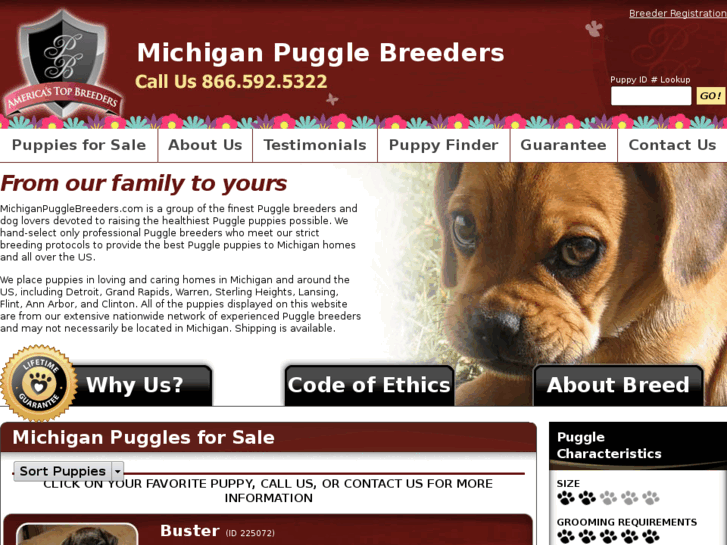 www.michiganpugglebreeders.com