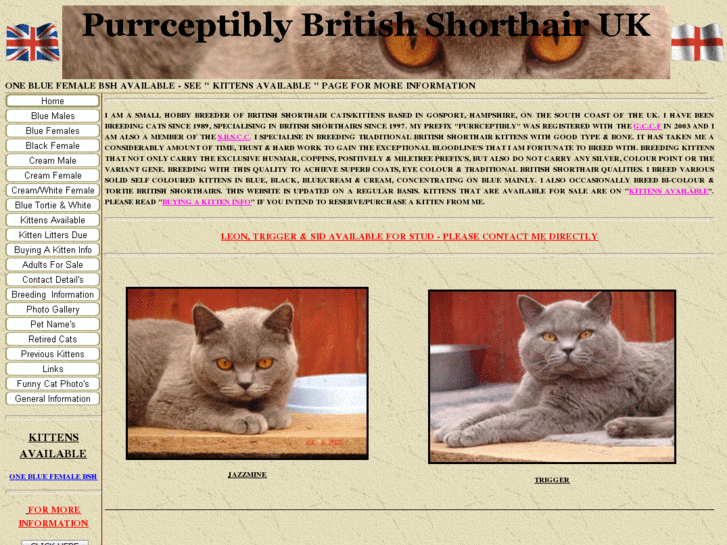 www.purrceptiblybsh.com