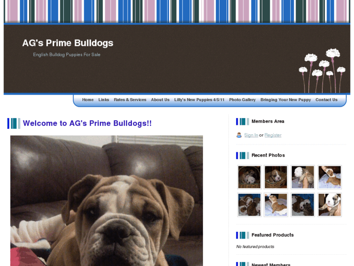 www.agprimebulldogs.com