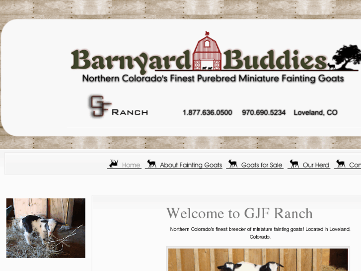 www.barnyardbuddys.com