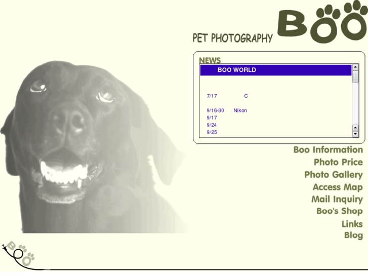 www.dogphoto-boo.com