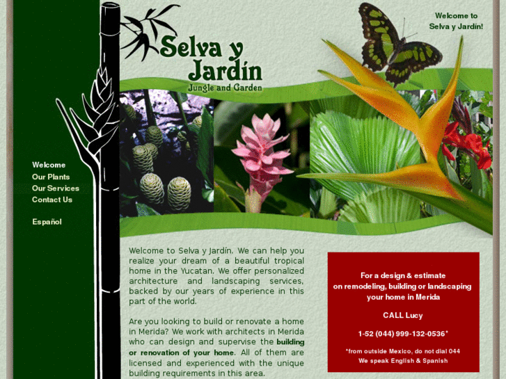 www.jungleandgarden.com