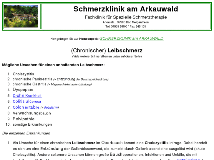 www.leibschmerz.de