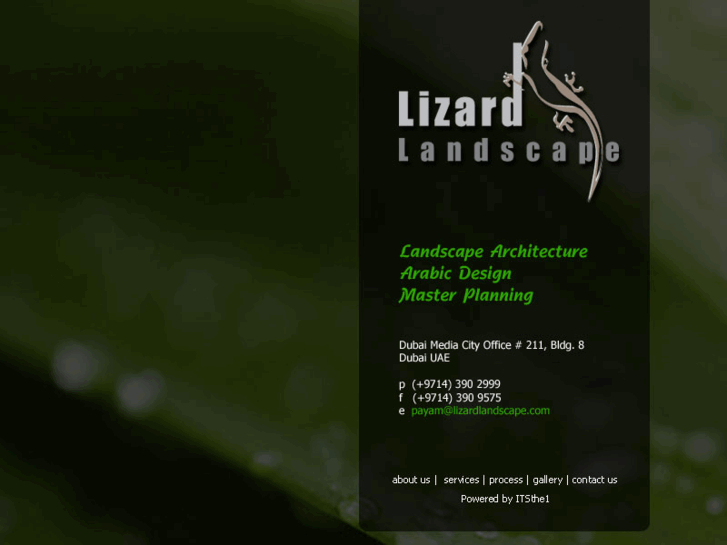 www.lizardlandscape.com