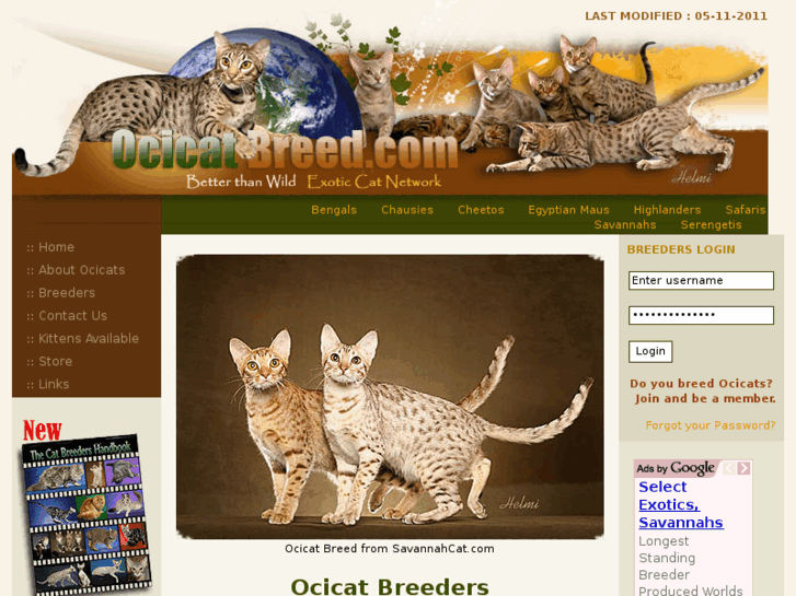 www.ocicatbreed.com