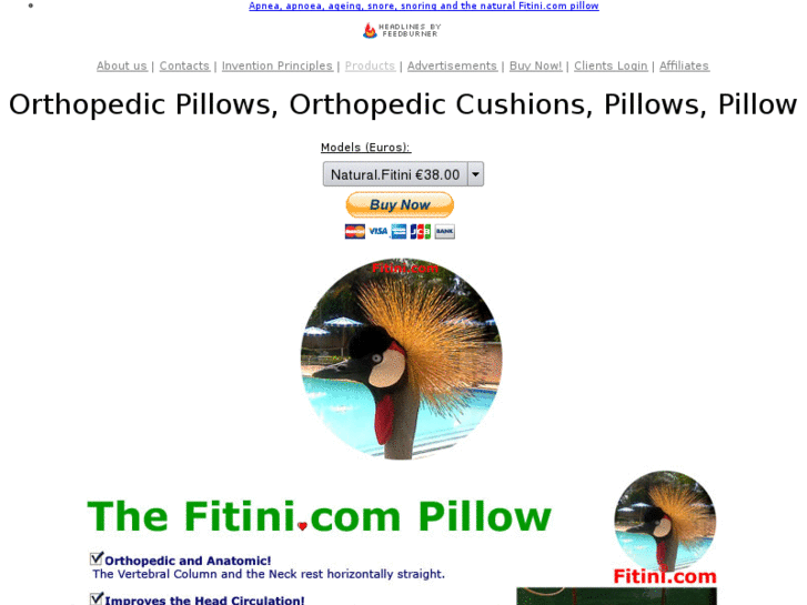 www.orthopedic-cushions.com