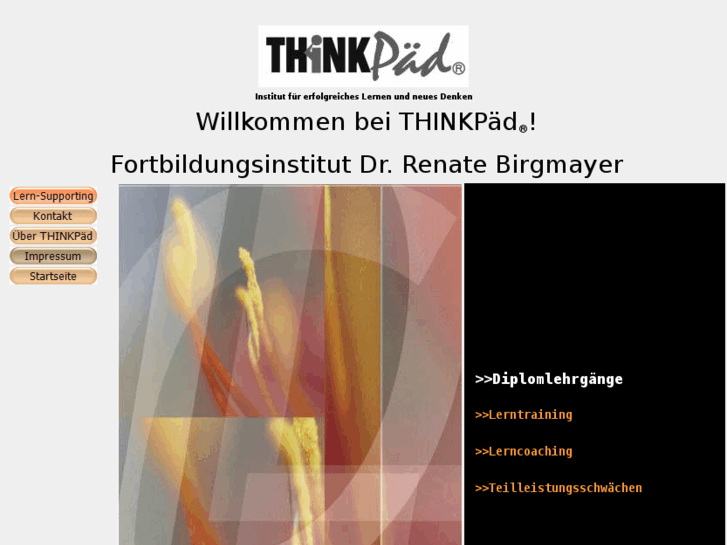 www.thinkpaed.com