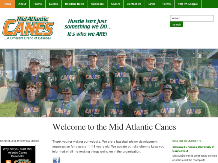 www.macanes.com