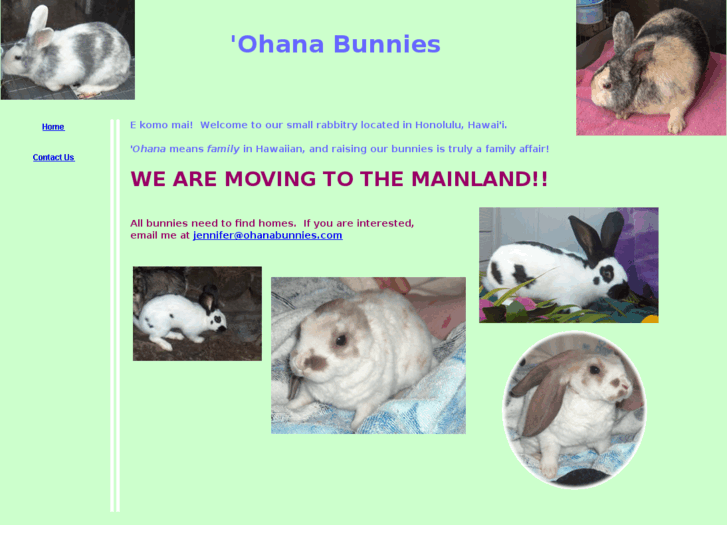 www.ohanabunnies.com