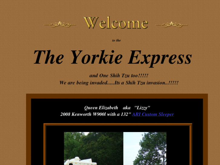 www.yorkiexpress.com