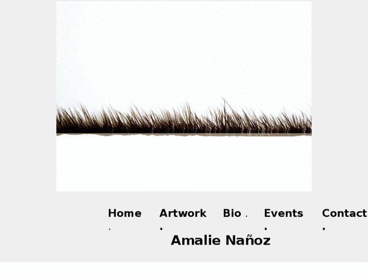 www.amalienanoz.com