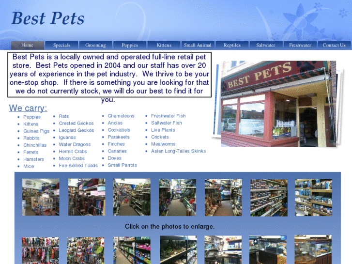 www.bestpetsdl.com