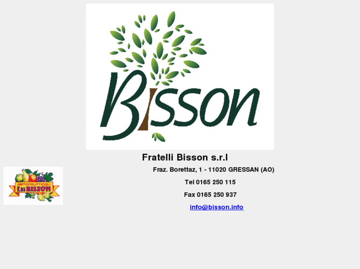 www.bisson.info