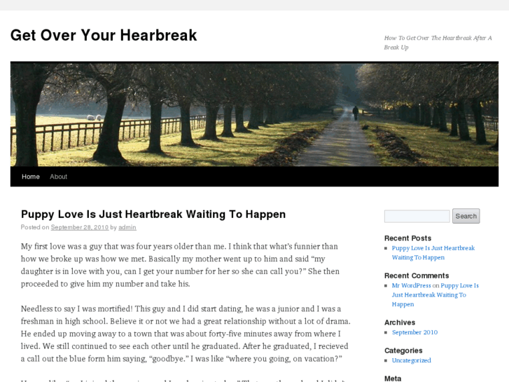 www.getoveryourheartbreak.com