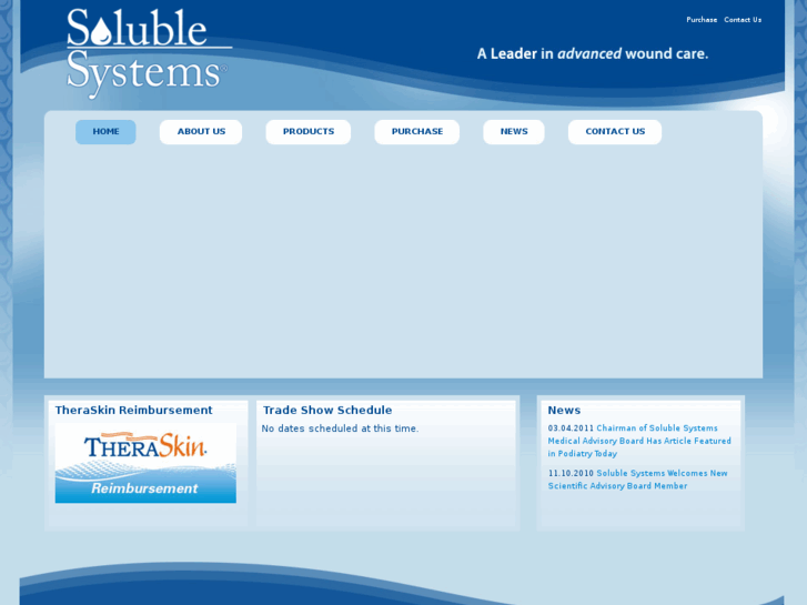 www.solublesystems.com