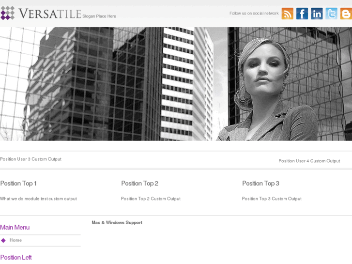 www.systemshost.net