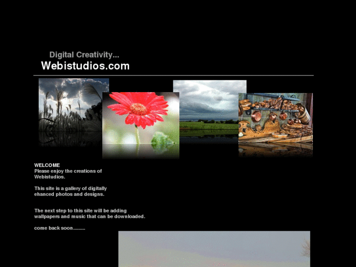 www.webistudios.net